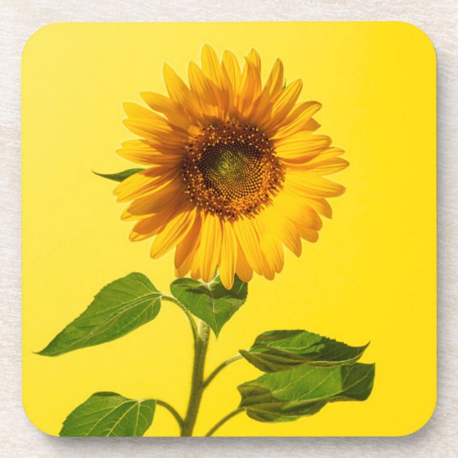 Flowers | Sunflower on Yellow Coaster (Front)