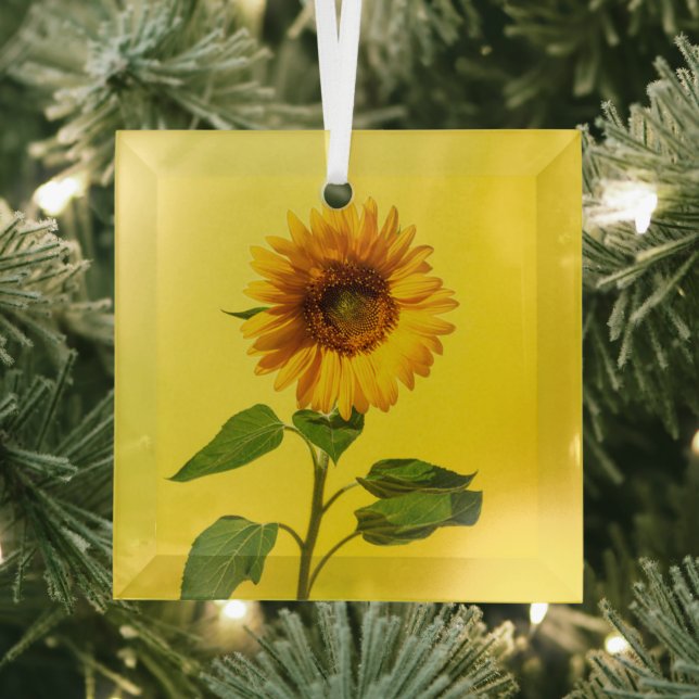 Flowers | Sunflower on Yellow Glass Ornament (Insitu)
