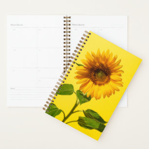Flowers   Sunflower on Yellow Planner