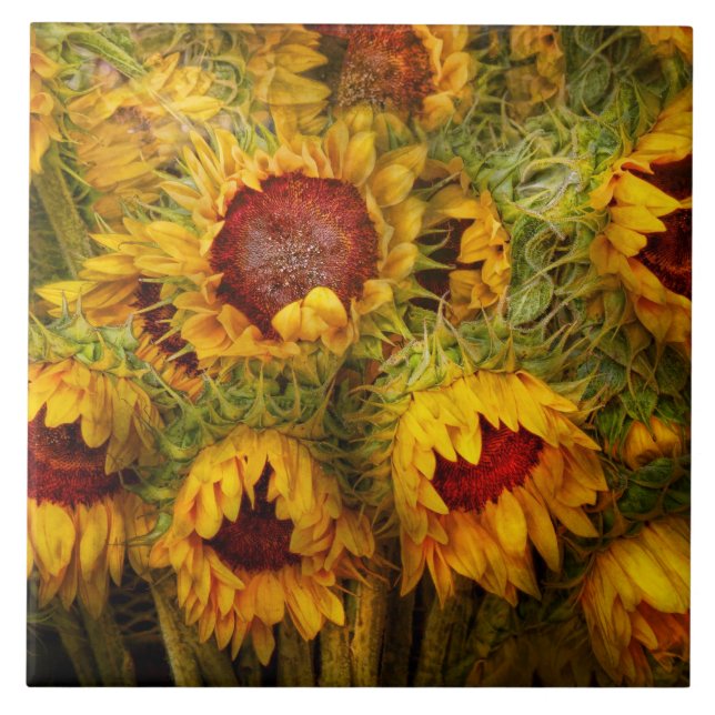 Flowers - Sunflowers - You're my only sunshine Tile (Front)