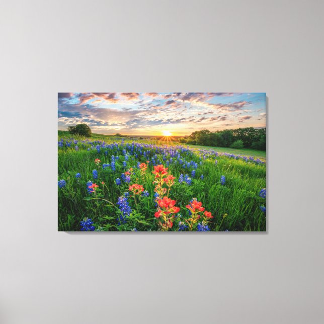 Flowers | Texas Bluebonnets & Indian Paintbrush Canvas Print (Front)