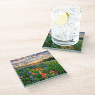 Flowers Texas Bluebonnets & Indian Paintbrush Glass Coaster