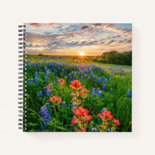 Flowers   Texas Bluebonnets & Indian Paintbrush Notebook