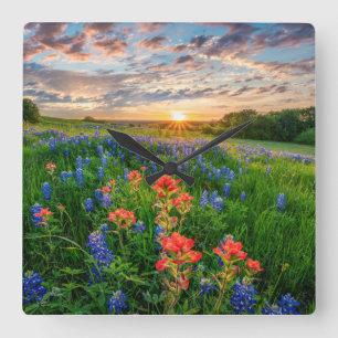 Flowers Texas Bluebonnets & Indian Paintbrush Square Wall Clock
