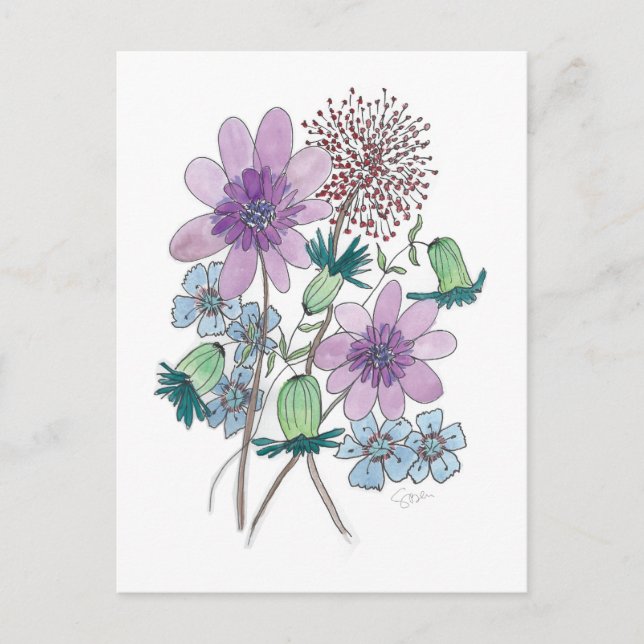 Flowers, Too! Postcard (Front)