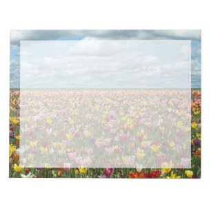 Flowers   Tulips Willamette Valley Oregon Notepad