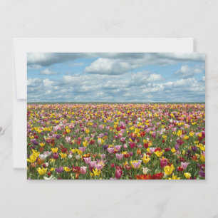 Flowers   Tulips Willamette Valley Oregon Thank You Card