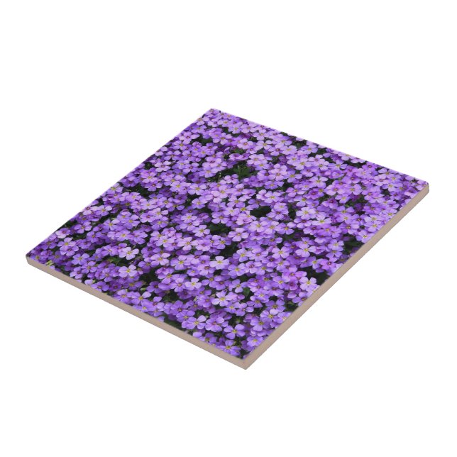 Flowers - Violets - Beautiful Tile (Side)