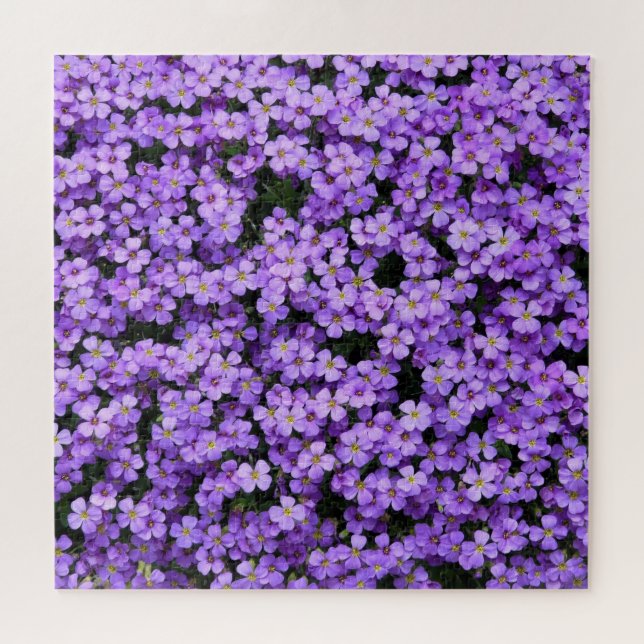 Flowers - Violets Jigsaw Puzzle (Horizontal)