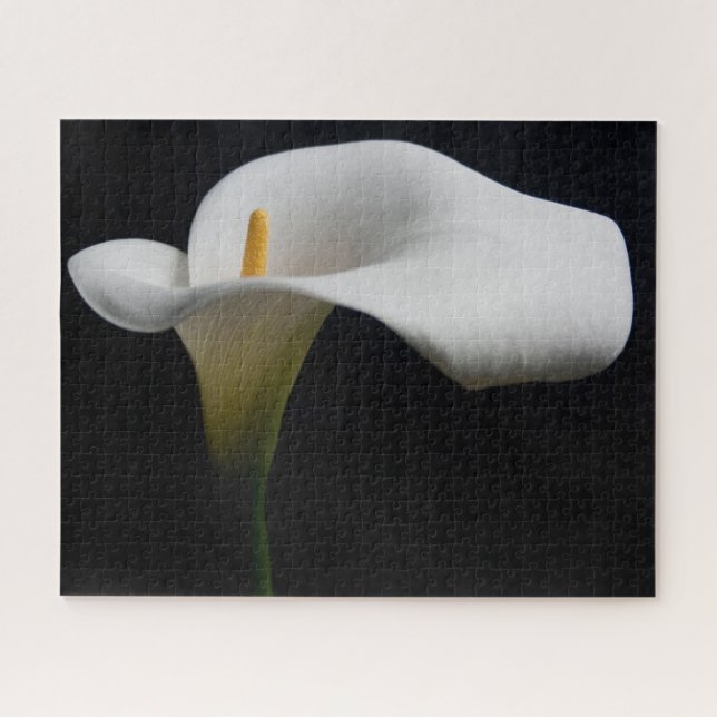 Flowers | White Calla Lily Jigsaw Puzzle (Horizontal)