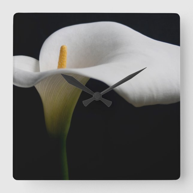 Flowers | White Calla Lily Square Wall Clock (Front)