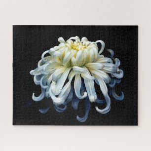 Flowers White Chrysanthemum Jigsaw Puzzle