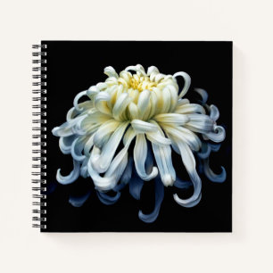 Flowers White Chrysanthemum Notebook