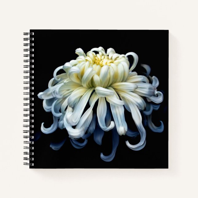Flowers | White Chrysanthemum Notebook (Front)