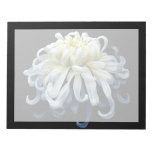 Flowers White Chrysanthemum Notepad