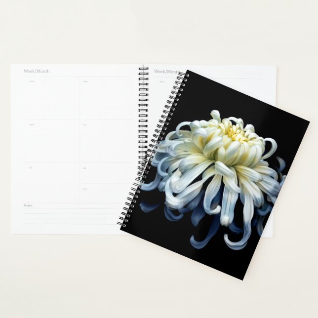 Flowers | White Chrysanthemum Planner (Display)