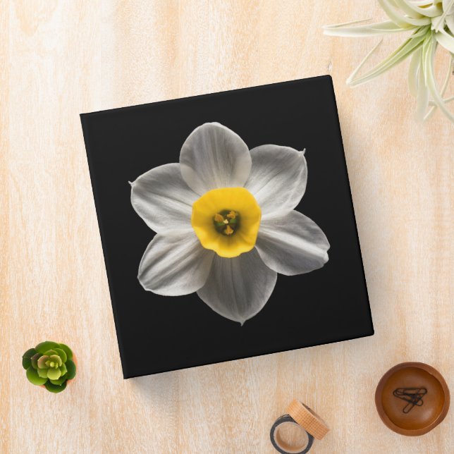 Flowers | White Daffodil Flower Binder (In Situ)