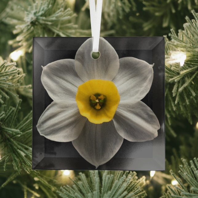 Flowers | White Daffodil Flower Glass Ornament (Insitu)