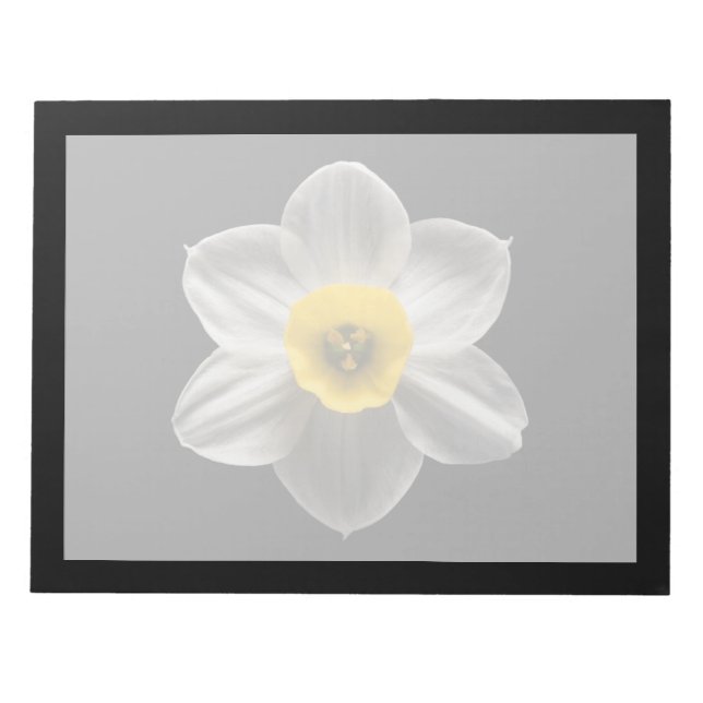 Flowers | White Daffodil Flower Notepad (Front)