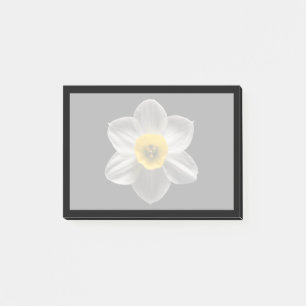 Flowers White Daffodil Flower Post-it Notes