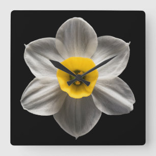 Flowers White Daffodil Flower Square Wall Clock