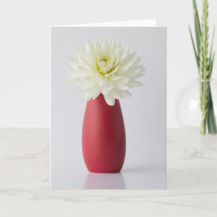 Flowers White Dahlia in Red Vase Card