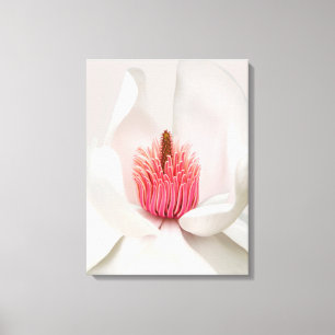 Flowers White Magnolia Canvas Print