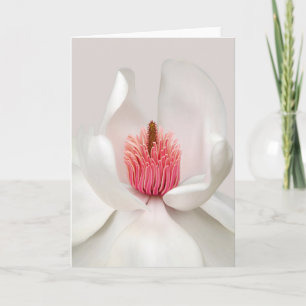 Flowers White Magnolia Card