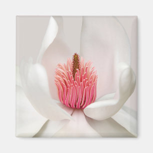 Flowers   White Magnolia Magnet