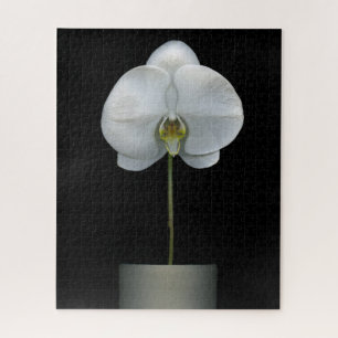 Flowers White Orchid Flower Jigsaw Puzzle
