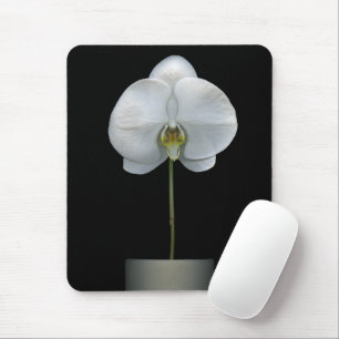 Flowers White Orchid Flower Mouse Pad