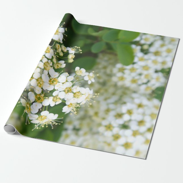 Flowers, White Plant, Picturesque Landscape, Wrapping Paper (Unrolled)