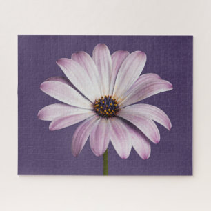 Flowers White & Purple Daisy Jigsaw Puzzle