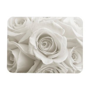 Flowers White Roses Magnet