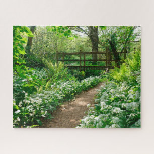 Flowers   White Wildflowers in Forest Jigsaw Puzzle