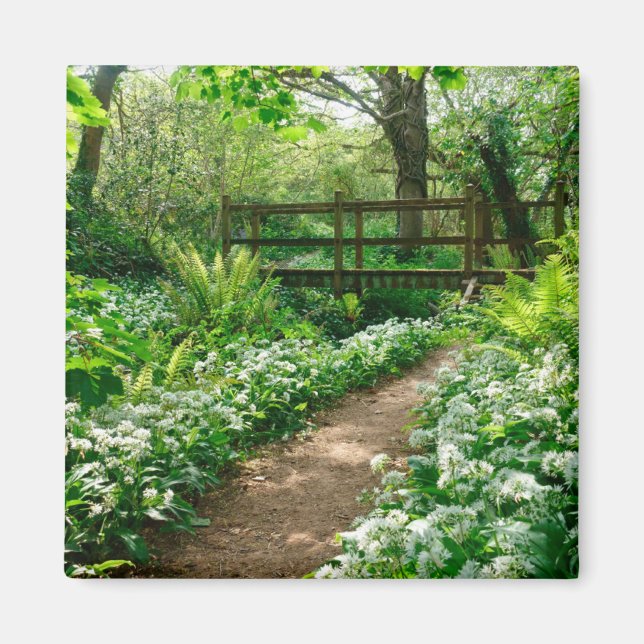 Flowers | White Wildflowers in Forest Magnet (Front)