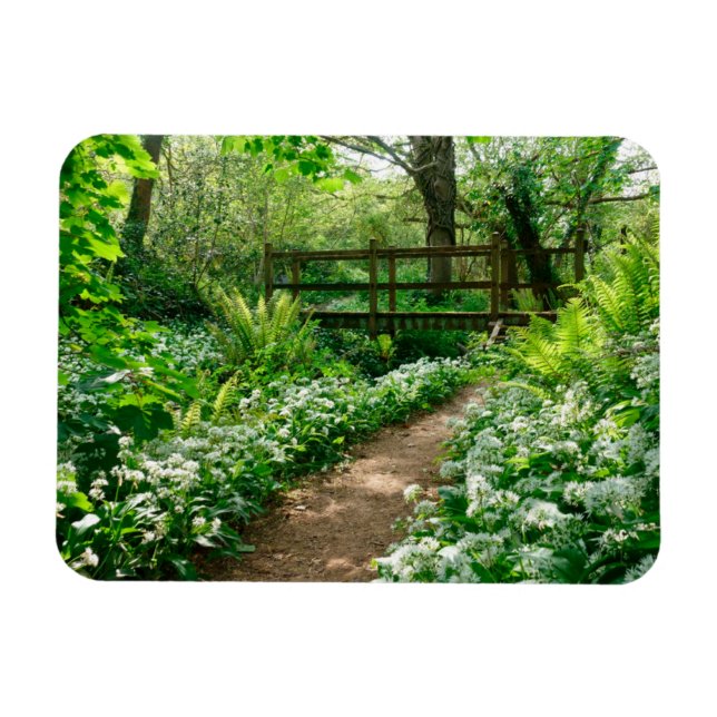 Flowers | White Wildflowers in Forest Magnet (Horizontal)