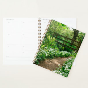 Flowers   White Wildflowers in Forest Planner