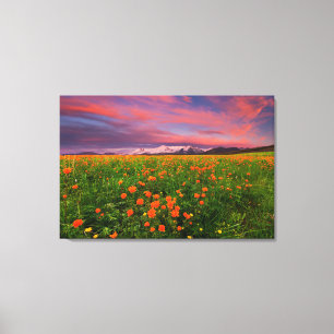 Flowers Wildflower Field Snowcapped Mountains Canvas Print