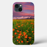 Flowers | Wildflower Field Snowcapped Mountains