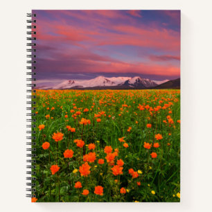 Flowers   Wildflower Field Snowcapped Mountains Notebook