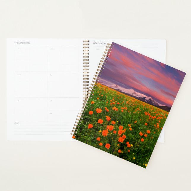 Flowers | Wildflower Field Snowcapped Mountains Planner (Display)