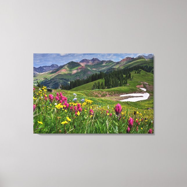 Flowers | Wildflowers Durango, Colorado Canvas Print (Front)