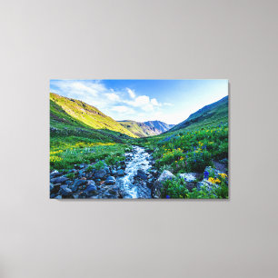 Flowers Wildflowers in Colorado Canvas Print