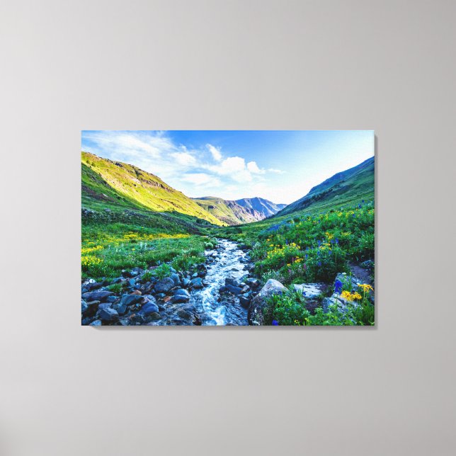 Flowers | Wildflowers in Colorado Canvas Print (Front)