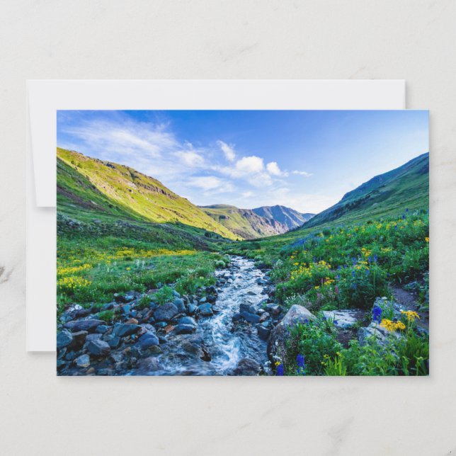 Flowers | Wildflowers in Colorado Thank You Card (Front)