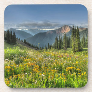 Flowers Wildflowers Silverton Colorado Coaster