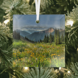 Flowers   Wildflowers Silverton Colorado Glass Ornament