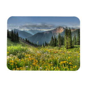 Flowers   Wildflowers Silverton Colorado Magnet