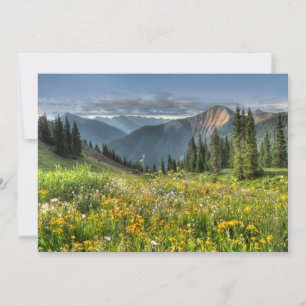 Flowers   Wildflowers Silverton Colorado Thank You Card